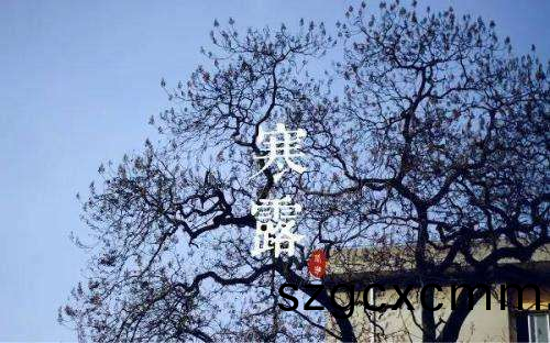 1602150645535904.png 百度(xin)圖片(pian)_20201008174912.png