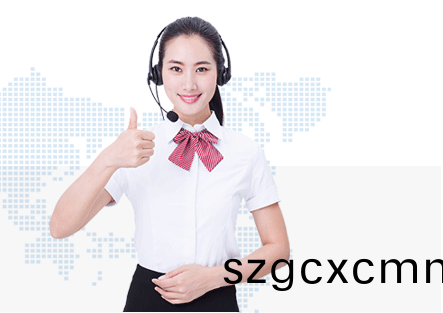 普賽特(te)服務優(yōu)(you)勢